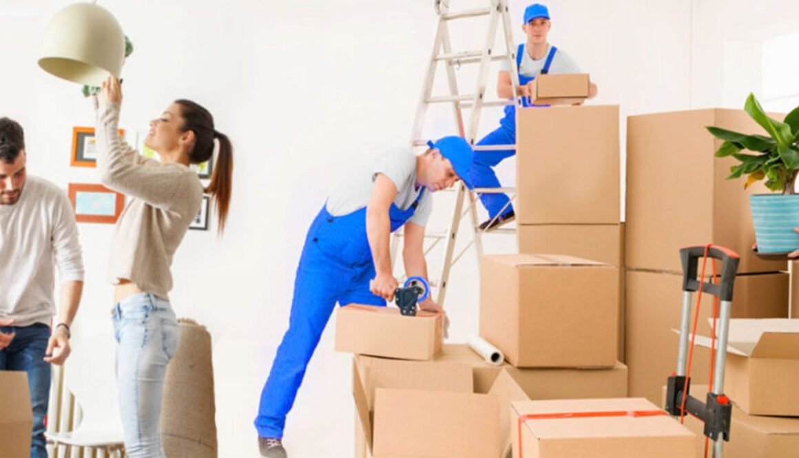 packers and mover in bhilai